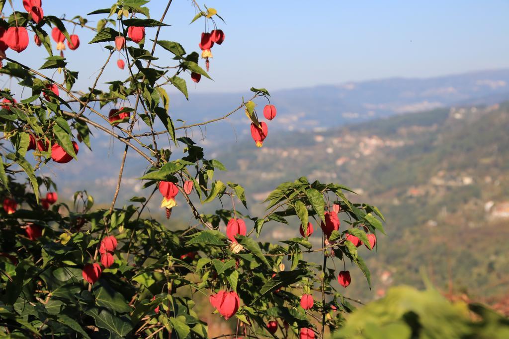 Douro Senses - Village House Cinfaes Bilik gambar