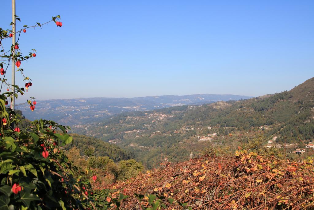 Douro Senses - Village House Cinfaes Luaran gambar